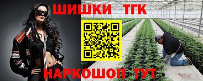 тгк Кингисепп
