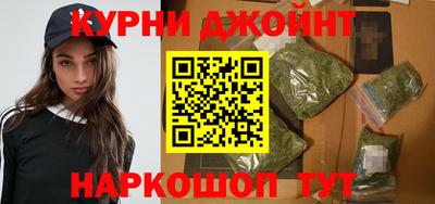 тгк Кингисепп