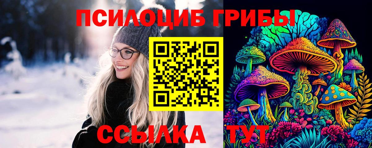 Псилоцибиновые грибы Magic Shrooms  Галлюциногенные грибы GOLDEN TEACHER  Вход с VPN  Коряжма 